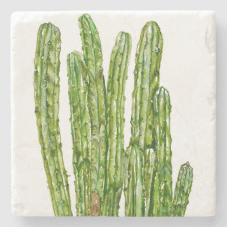 Dessous-de-verre En Pierre Cactus