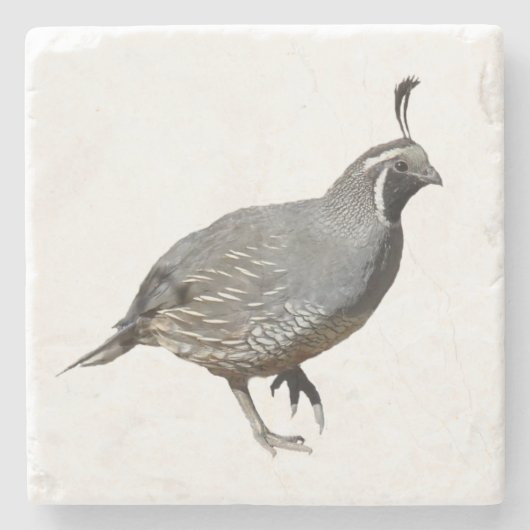 DESSOUS-DE-VERRE EN PIERRE CAILLES DE CALIFORNIE (Devant)