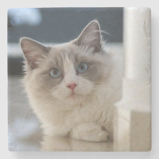 Dessous-de-verre En Pierre Calico (Devant)