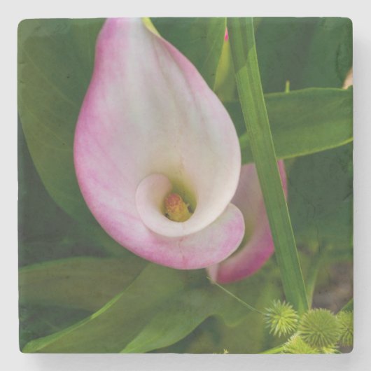 Dessous-de-verre En Pierre Calla Roll (Devant)