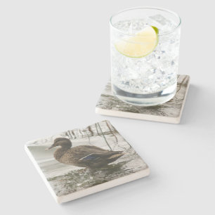 Dessous-de-verre En Pierre Canard gris sur le lac sombre
