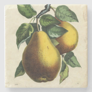 Dessous-de-verre En Pierre Carré Golden Pears