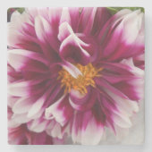 Dessous-de-verre En Pierre Cartheuserine (Devant)