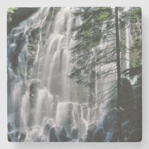 Dessous-de-verre En Pierre Cascade dans la forêt, Oregon