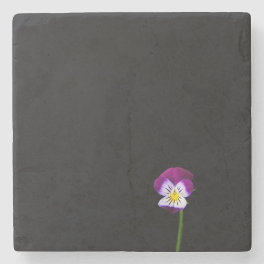 Dessous-de-verre En Pierre Castère de fleurs de violet (Devant)