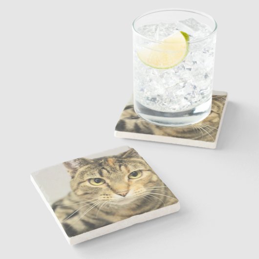 Dessous-de-verre En Pierre Cat (Côté)