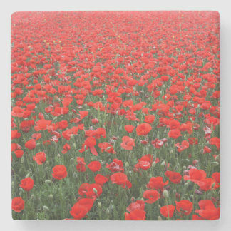 Dessous-de-verre En Pierre Champ de Red Poppies
