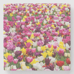 Dessous-de-verre En Pierre champ plein de tulipes