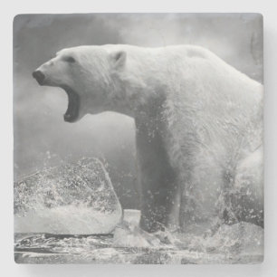 Dessous-de-verre En Pierre Chasseur blanc d'ours blanc sur la glace dans
