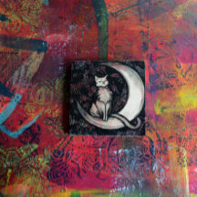 Chat de lune Chat de lune