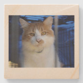 Dessous-de-verre En Pierre chaton (Devant)