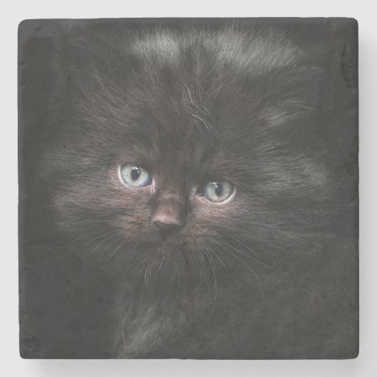 Dessous-de-verre En Pierre Chaton (Devant)