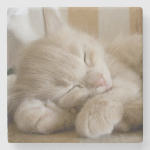 Dessous-de-verre En Pierre Chaton de sommeil