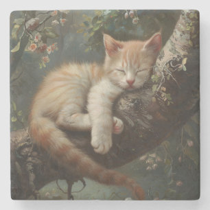 Dessous-de-verre En Pierre Chaton dormant dans un arbre Vintage