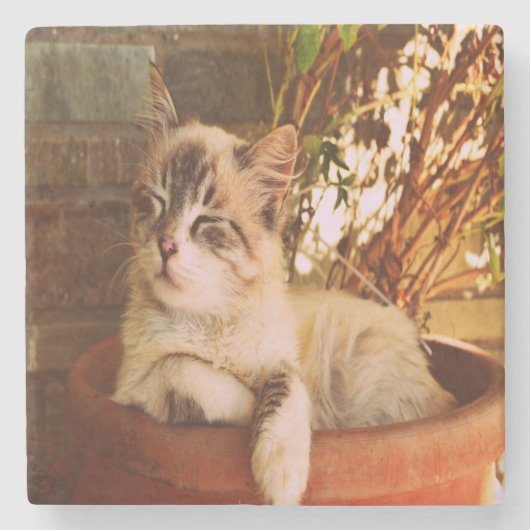 Dessous-de-verre En Pierre Chaton endormi confortable (Devant)