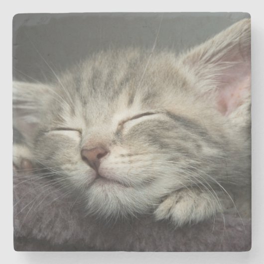 Dessous-de-verre En Pierre Chaton somnolent (Devant)