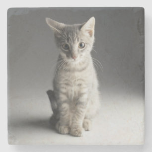 Dessous-de-verre En Pierre Chaton tigré bleu