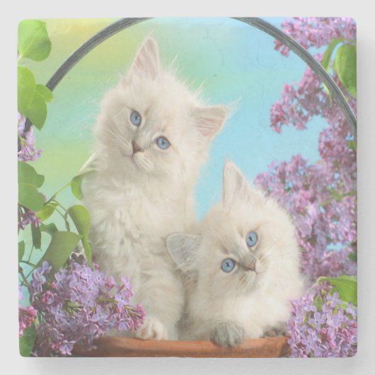 Dessous-de-verre En Pierre Chatons (Devant)