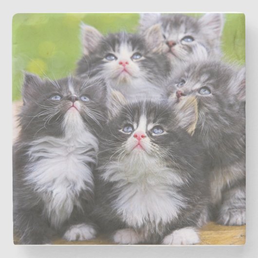 Dessous-de-verre En Pierre Chatons (Devant)