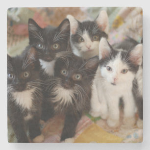 Dessous-de-verre En Pierre Chatons de smoking