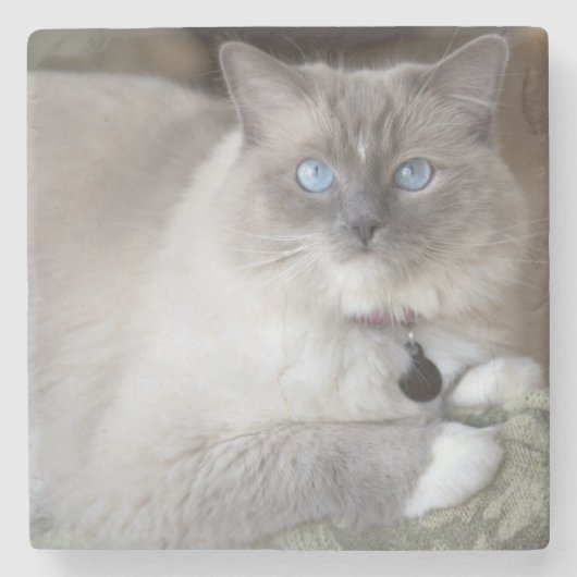 Dessous-de-verre En Pierre Chatte Ragdoll (Devant)