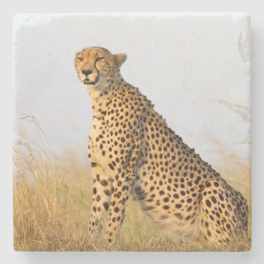 Dessous-de-verre En Pierre Cheetah (Devant)