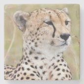 Dessous-de-verre En Pierre Cheetah (Devant)