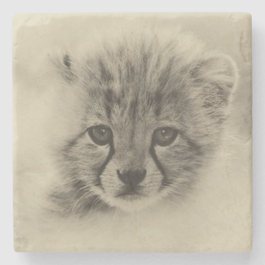 Dessous-de-verre En Pierre Cheetah Cub (Devant)