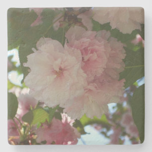 Dessous-de-verre En Pierre Cherry Tree I Spring Floral