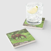 Dessous-de-verre En Pierre Cheval (Côté)