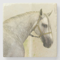 Cheval andalou grise