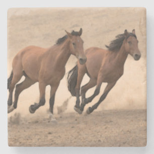 Dessous-de-verre En Pierre Cheval dans l'automne II
