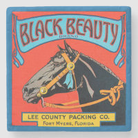 Cheval de beauté noir sur Arrière - plan rouge