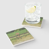 Dessous-de-verre En Pierre Cheval tiré Hay Rake (Côté)