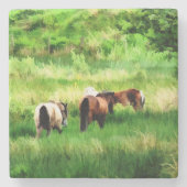 DESSOUS-DE-VERRE EN PIERRE CHEVAUX (Devant)