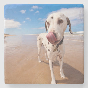 Dessous-de-verre En Pierre Chien dalmatien sur la plage