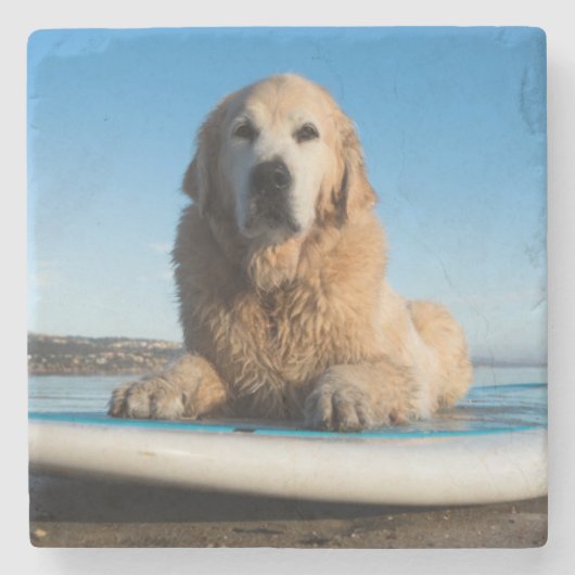 Dessous-de-verre En Pierre Chien de golden retriever s'étendant sur un (Devant)