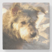 Dessous-de-verre En Pierre Chien de plage thaïlandais (Devant)