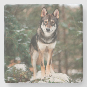 Dessous-de-verre En Pierre Chien-Loup Stone Coaster