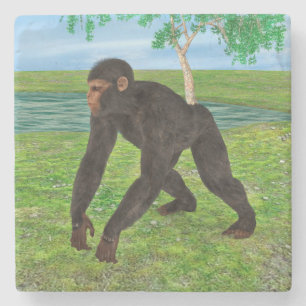 Dessous-de-verre En Pierre Chimpanzé