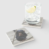 Dessous-de-verre En Pierre Chimpanzé 030 (Côté)