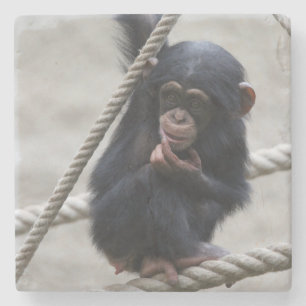 Dessous-de-verre En Pierre Chimpanzé 030