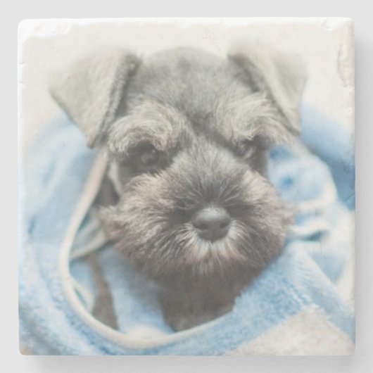 Dessous-de-verre En Pierre Chiot après Bath (Devant)