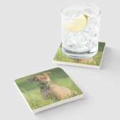 Dessous-de-verre En Pierre Chiot dans l'herbe (Côté)