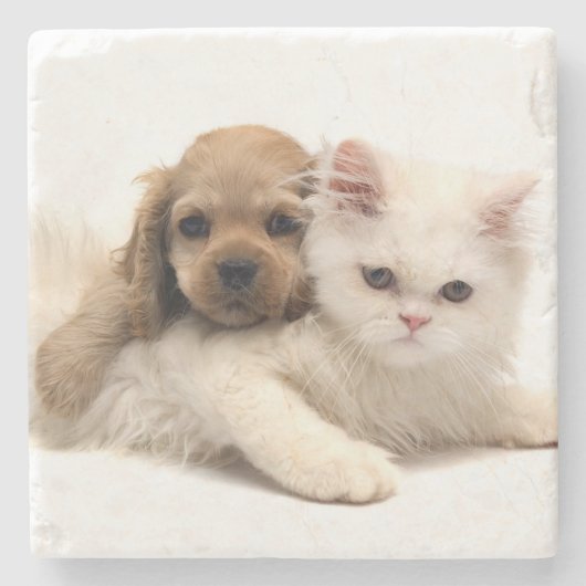 Dessous-de-verre En Pierre Chiot et chaton (Devant)