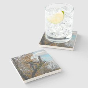 Dessous-de-verre En Pierre Chirurgien