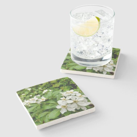 Dessous-de-verre En Pierre Choisya Ternata (Côté)