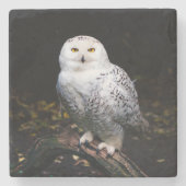 Dessous-de-verre En Pierre Chouette hivernale majestueuse (Devant)