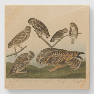 Dessous-de-verre En Pierre Chouettes brulantes - d'Audubon's Birds of America