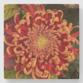 Dessous-de-verre En Pierre Chrysanthème rouge et jaune Floral (Devant)